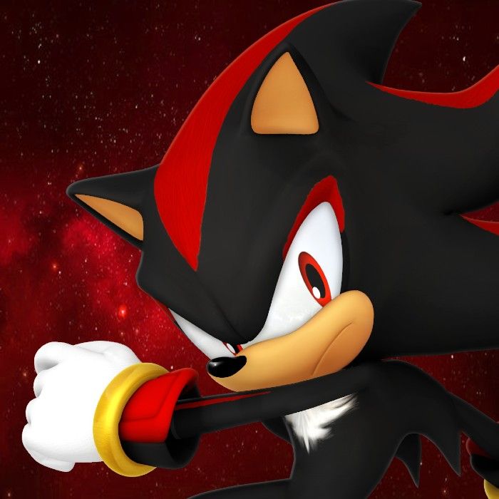 Shadow the Hedgehog image 1