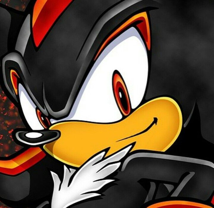 Shadow the Hedgehog image 10