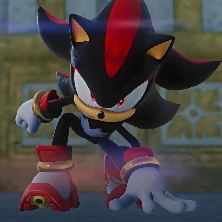 Shadow the Hedgehog image 15
