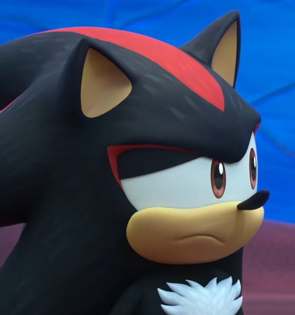 Shadow the Hedgehog image 20