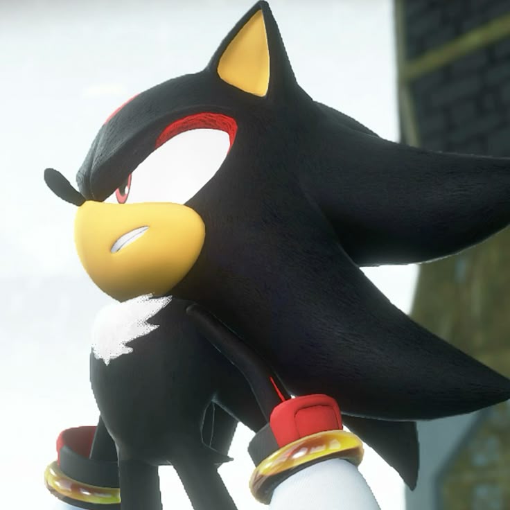 Shadow the Hedgehog image 21