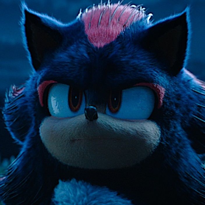 Shadow the Hedgehog image 24