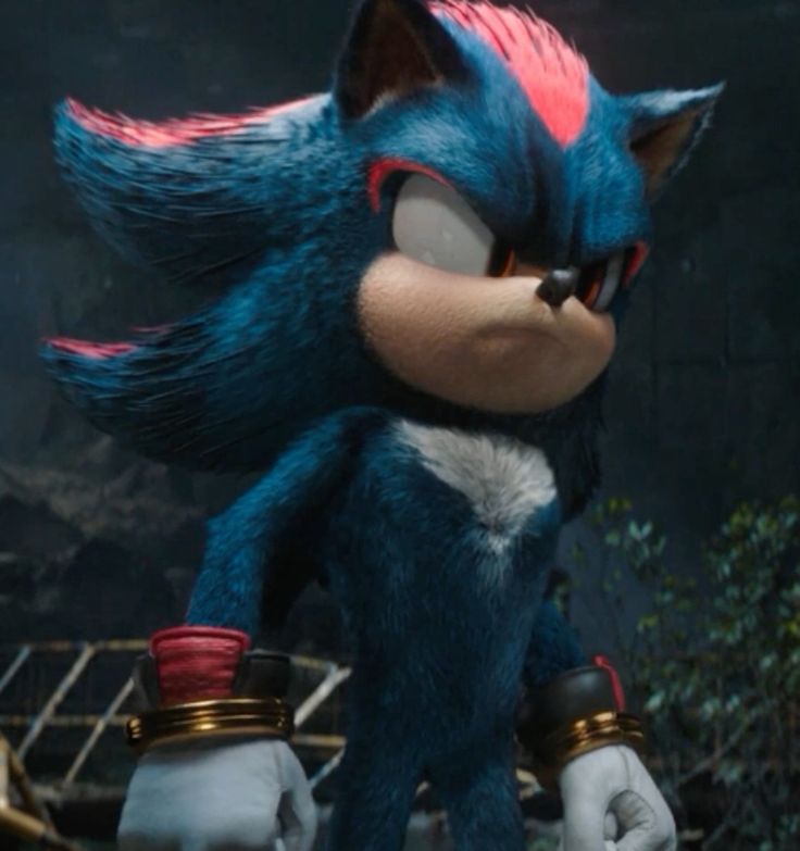 Shadow the Hedgehog image 25
