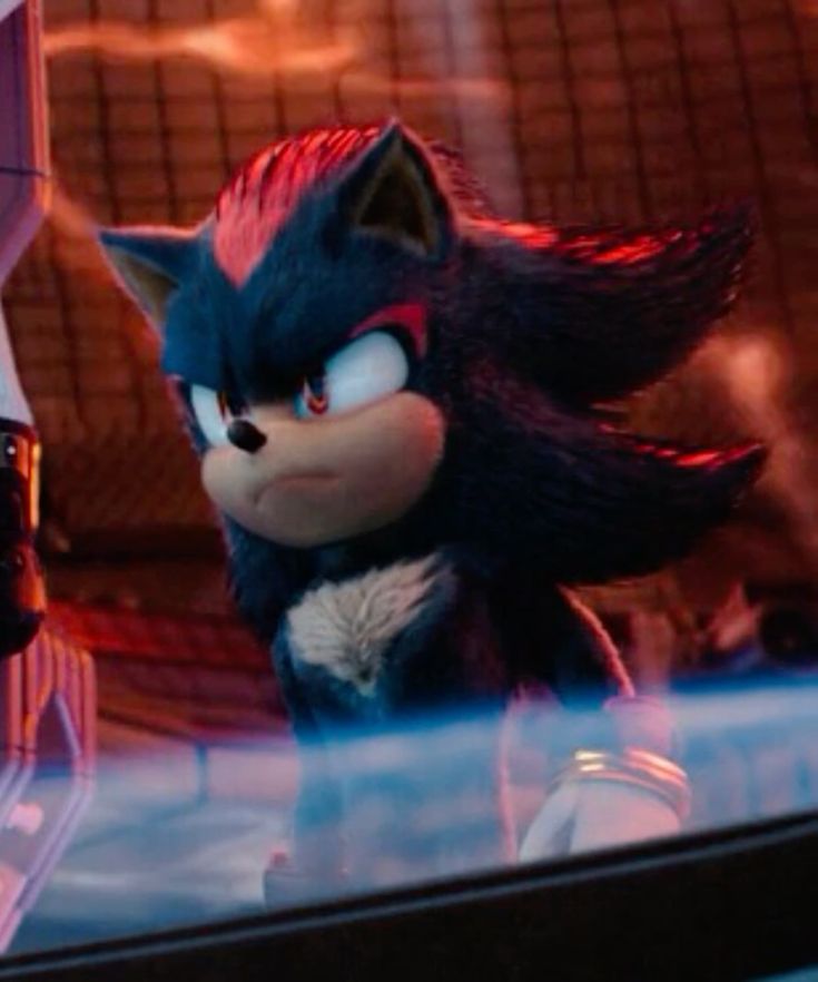 Shadow the Hedgehog image 26