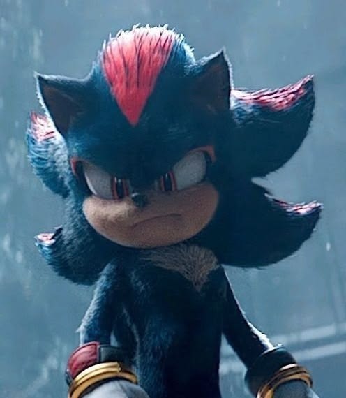 Shadow the Hedgehog image 28
