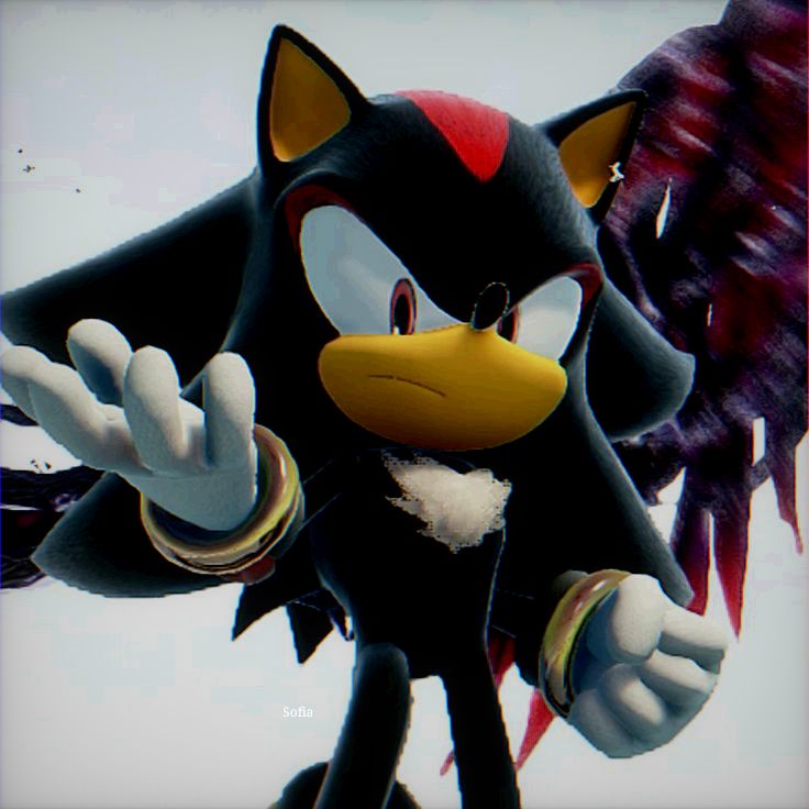 Shadow the Hedgehog image 4