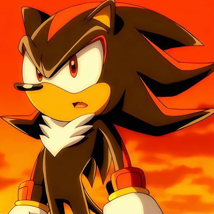 Shadow the Hedgehog image 5