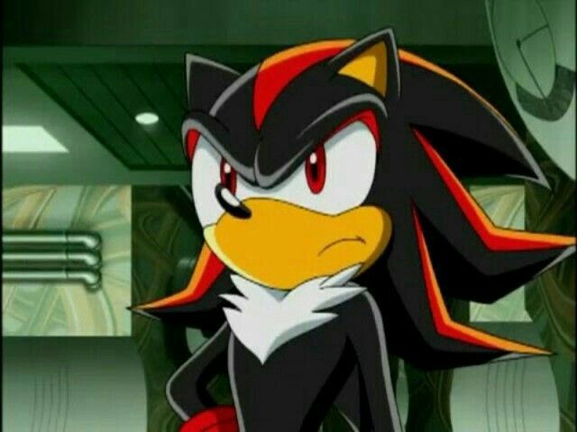 Shadow the Hedgehog image 6