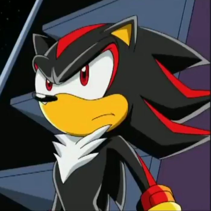 Shadow the Hedgehog image 7
